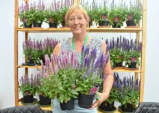 Erna Klopof Andre De Gruyter bv, presenting Salvia Rianne Pink and Salvia Rianne Purple. Two new own bred, characterized by their sturdiness and full flowering. They are still looking for a propagator who wants to add them to their assortment.  